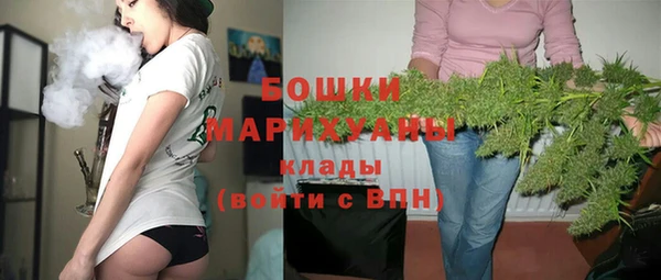 сатива Горняк
