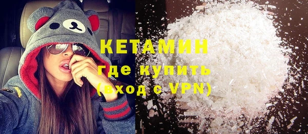 сатива Горняк