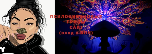 сатива Горняк